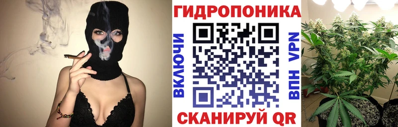 Конопля план  blacksprut tor  Заполярный  магазин  наркотиков 
